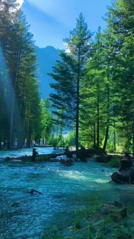 Panjkora River Kumrat valley ❤️#fyp #reels #Summer #foryou #viralvideo 
