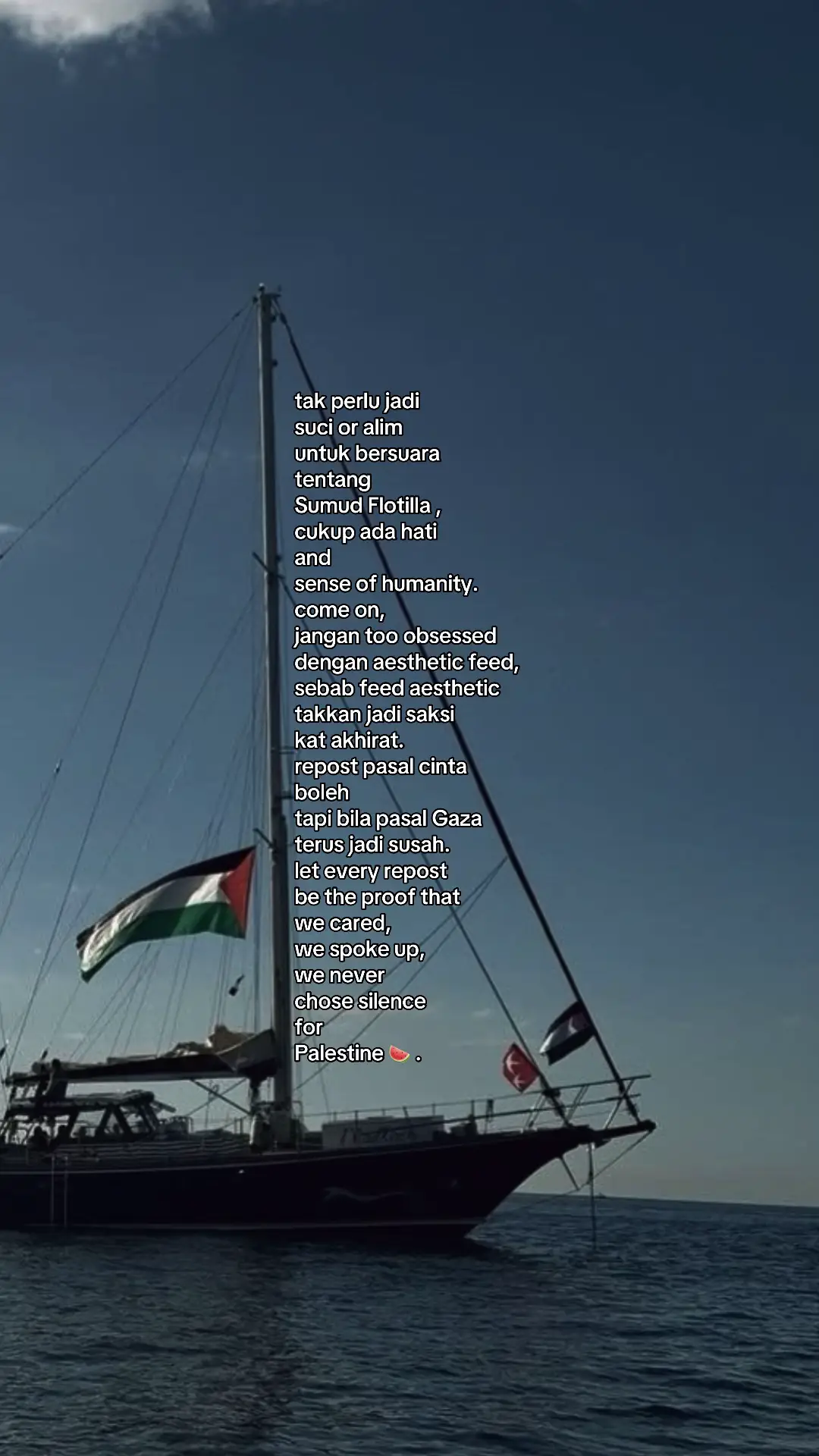 #freepalestine #pray4sumudflotilla #palestine  #fyp 