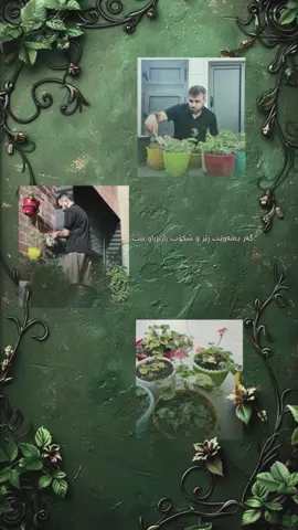 💚#foryou #قانع_خورشید #fatima_z1 #pariaa_min #foryoupage 