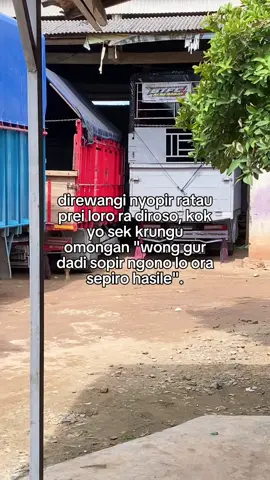 rekasane wong cilek#storytruk #fyp #drivermuda 