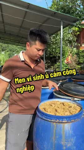 Mưa bão như này chỉ khổ các bác chăn nuôi! Hết dịch giờ lại bão lũ mất trắng #trungdanglam #menvisinh 