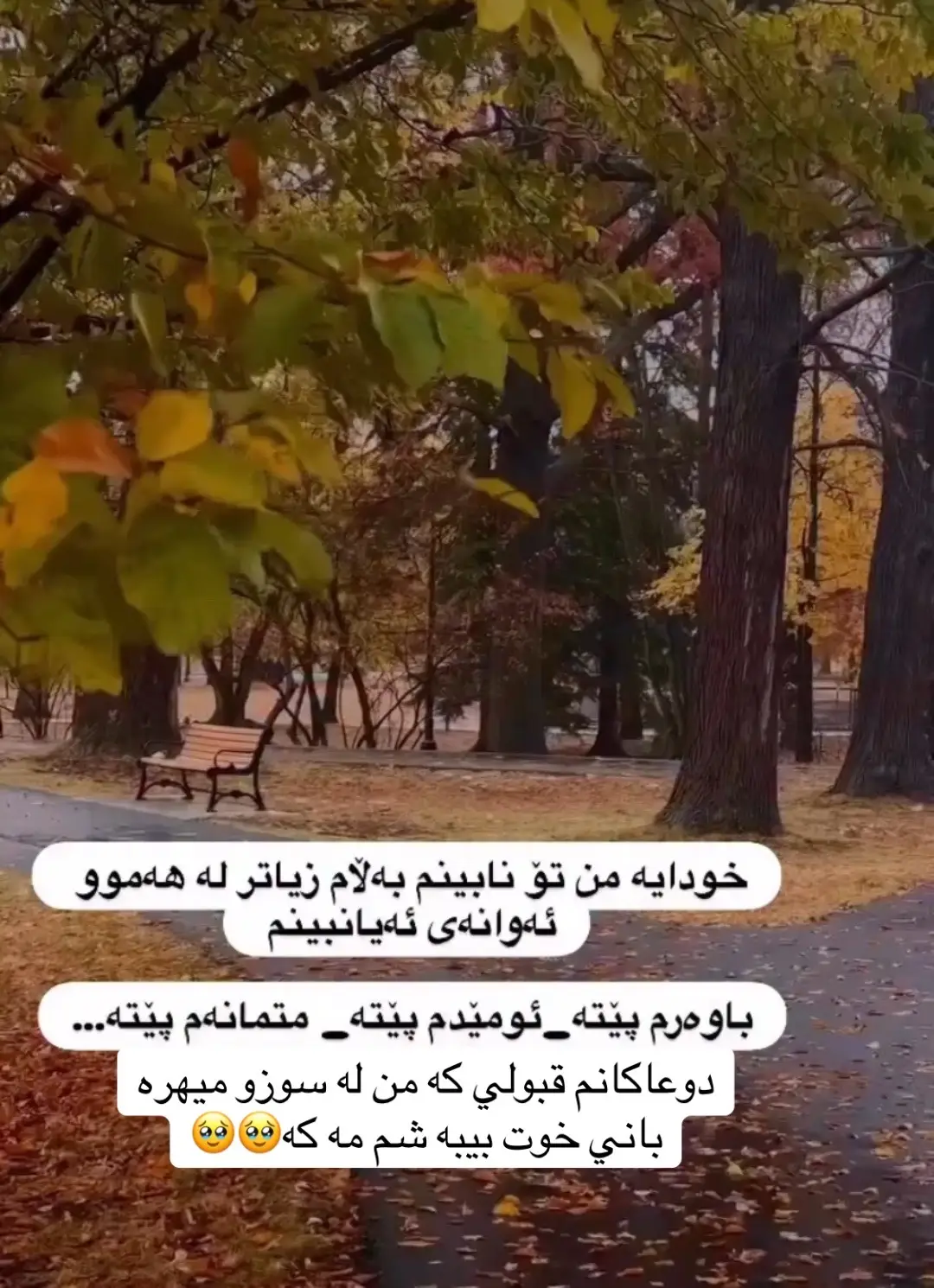 #خودايه_دوعاي_هةمووان__قبوول_بكه_🤲 #duhok_zaxo_amedi_semel_akre #لاتحزن_إن_لله_معنا♡ 