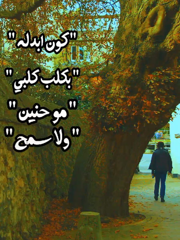 #كون_ابدله_بكلب_كلبي #الرادود_مرتضى_حرب #مرتضى_حرب🥺🖤 #اكسبلورexplore #مالي_خلق_احط_هاشتاقات🧢 