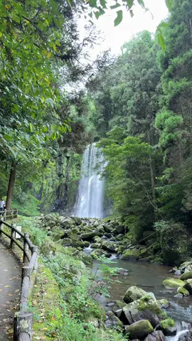 君もいつかちゃんと幸せになりなさい！ #fyp #haydi #nature #japanvibes #滝 