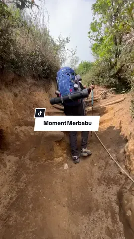 Siapa si yang ngga kangen Merbabu kalo udah kesana, ya kann #merbabu #merbabuviasuwanting 