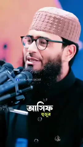 #duet with @🏵️ Md Alamin Sikder❤️ #abrarul_haque_asif 