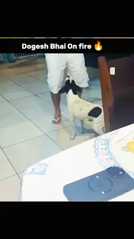 funny videos part 67|{✓}[✓]#dontunderreviewmyvideo #foryoupage #dontunderreviewmyvideo #foryoupage #fynnycontenrcreater 