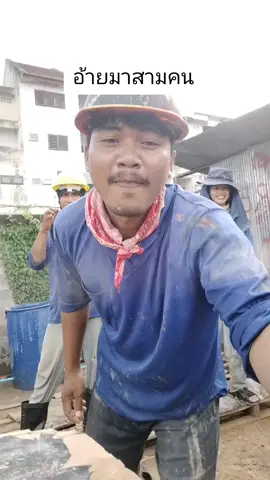 #เต่านา 