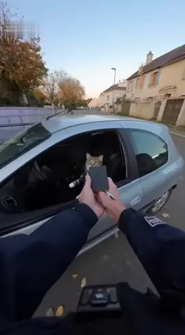 Miaou s’est enfuit 🤣😱 #chat #police #fuite #coursepoursuite #pov 