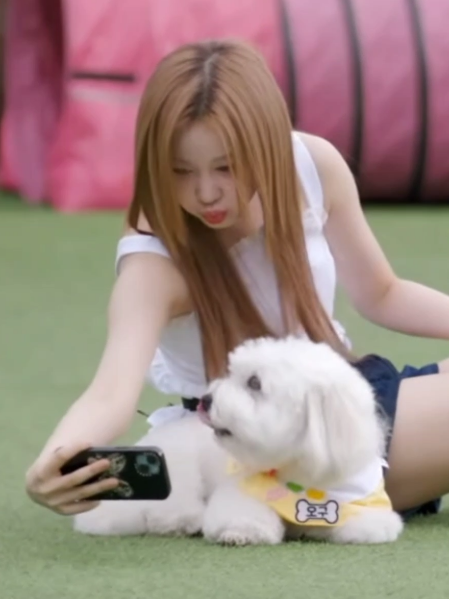 Pharita with dogs are such beautiful things 😭😚🤏🏻 #babymonster #pharita #pharitababymonster #baemonhouse #fyp 