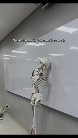 Osteodramaticly sad  #jokes #medstudent #fk #fyp 