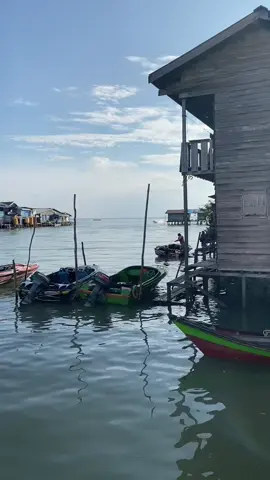 #evo49🇹🇭🐝 