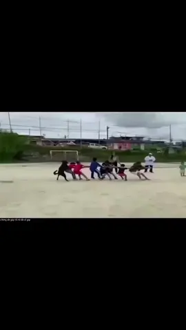 Đã bảo không cần giúp rồi mà 🤪