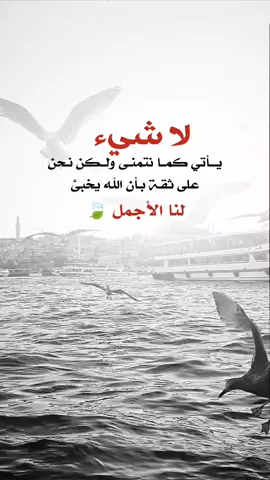 #عبارات_جميلة_وقويه😉🖤 #اقتباسات_عبارات_خواطر #اكسبلوررر #fyp 