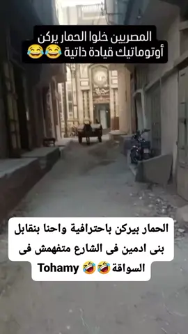 حمار معاه رخصه ثالثه 😅😅