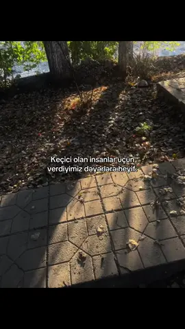 #olansheydi 