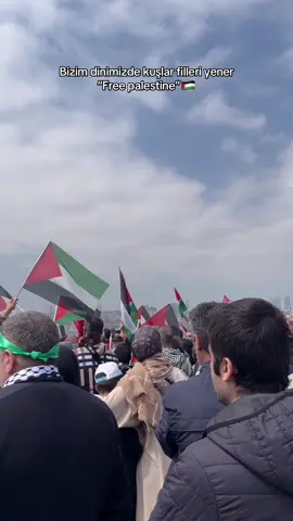 #freepalestine🇵🇸❤️ #sumudfilosu #filistin 