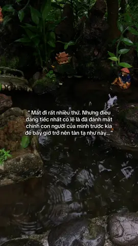 …#tamtrang #story 