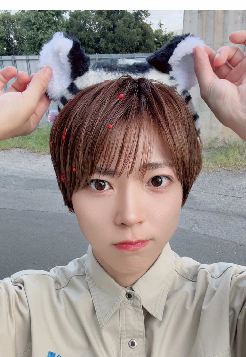ネコ科ではある🐯🐱🐯🐱 #パンダドラゴン