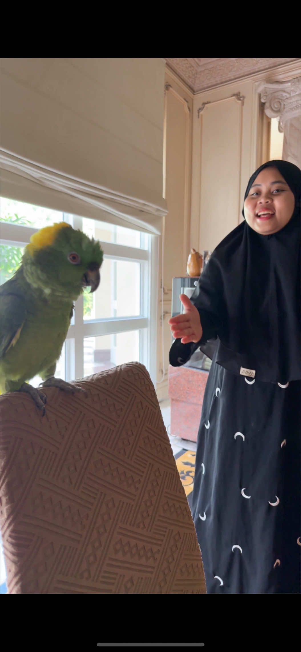 Emi ngajak damai Sasha 😱, guys.. serius nih atau settingan? 🤔😂 • • • • • #sasha #talkingparrot #funny #burung #unik #fyp #foryou #viral #trending #reels #mood #lucu #cute #baru 