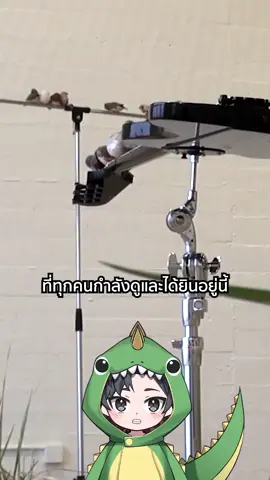 ปล่อยให้นกเล่นดนตรี#สาระดีๆ #เรื่องนี้ต้องดู #เล่าเรื่อง 