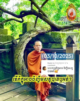 Replying to @៚បុត្រាតូច៚🤍 តើភិក្ខុអាចចិញ្ចឹមសត្វបានឬអត់ ? (03/10/2025)