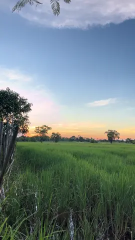 พาหัวใจไปเซาเมื่อยอยู่บ้านเฮา😊#วิวบ้านนอก🍃🌾 #ท้องฟ้า 