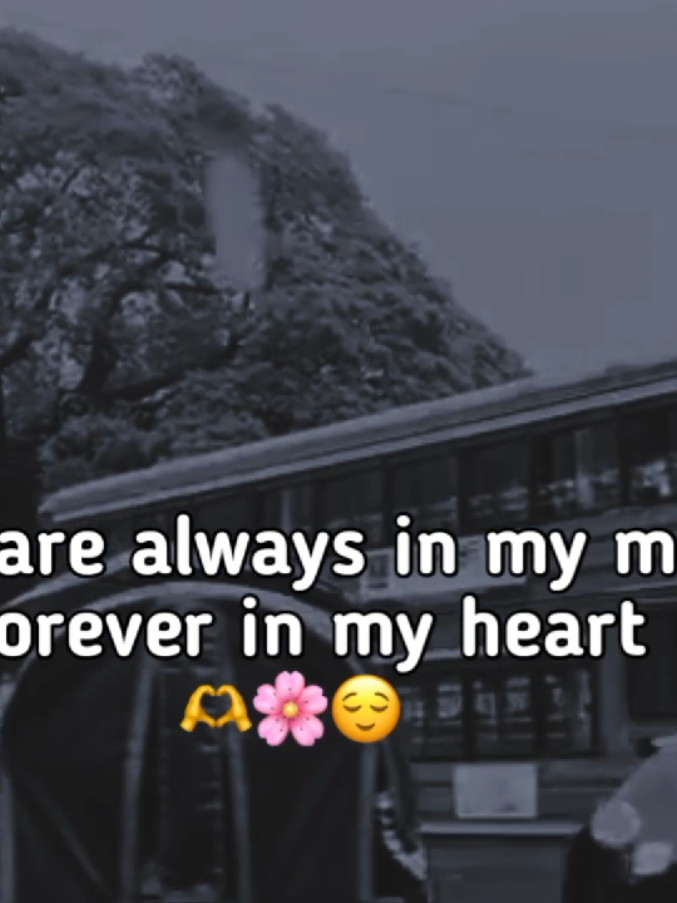 You are always in my mind forever in my heart 🫶🌸😌#fyp 