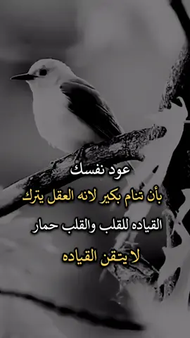 #اجمل_عبارة_راح_ثبتها📌 #افضل_عبارة_لها_تثييت #عباراتكم_الفخمه📿📌 