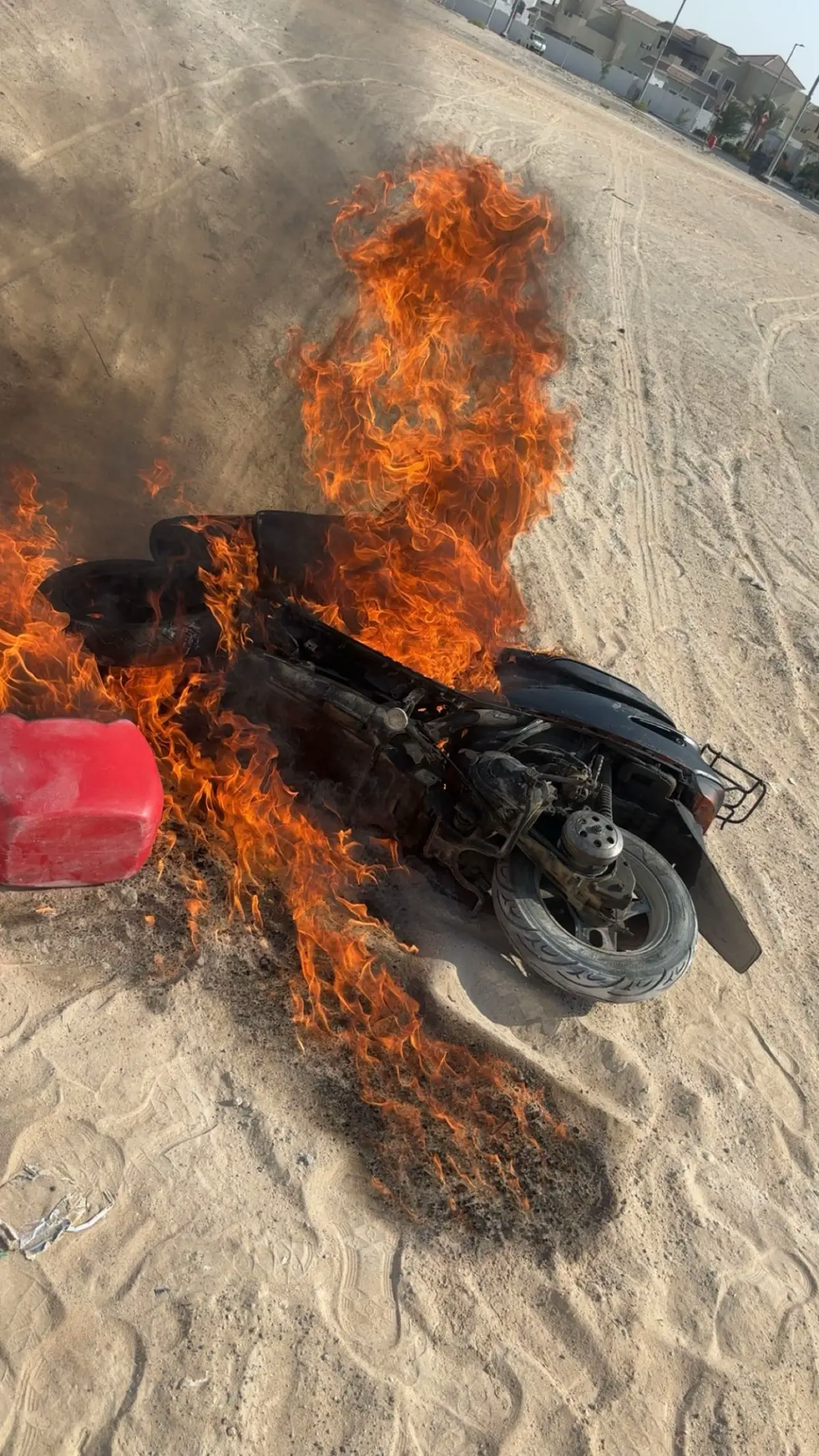 #الفلاح #fyppppppppppppppppppppppp 