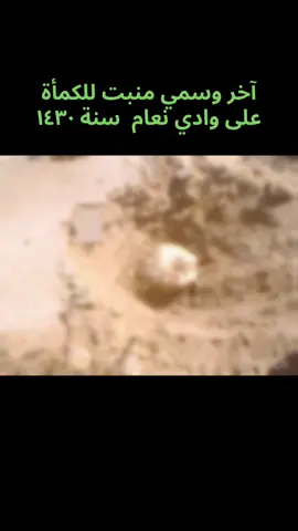 # وسمي نعام عام ١٤٣٠