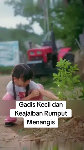 #fypviraltiktok🖤シ゚☆♡viral #dramaupdate #dramatiktok #dramachina #fyppppppppppppppppppppppp 