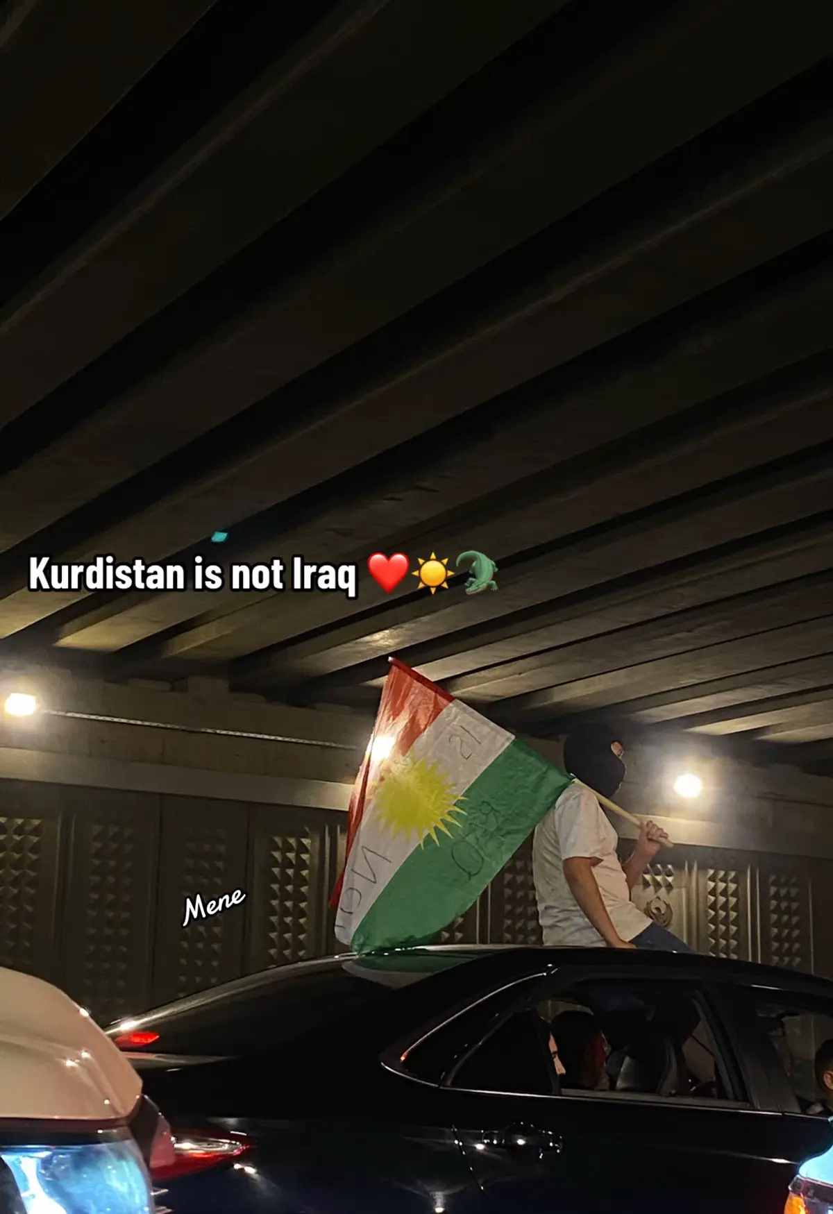 Kurdistan is not Iraq ❤️☀️🐊#kurdistan #crecimientopersonal #duhuk_zaxo_akre_hawler_kirkuk #fypage #flag 