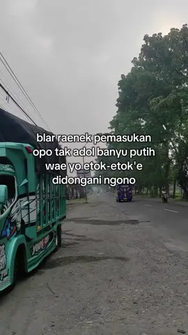 pie pendapatmu cah🤔 #fyp24jam #trucknology 