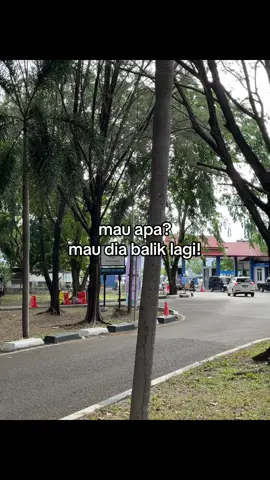 #galaubrutal 