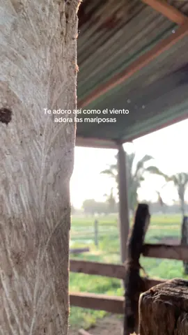 Dios te guarde .Lo más nuevo de @Jorge F. Guerrero S. Tu pecho me da el aliento y es donde mi alma reposa te adoro así como el viento adora las mariposas Tu pecho me da el aliento y es donde mi alma reposa te adoro así como el viento adora las mariposas. Fuente de mi poesía la musa que me transporta Dios te guarde amada mía te necesito y me importas y es que cuando ando lejano es cuando más me provocan las caricias de tus manos y el Tulipán de tu boca #musicallanera #llanerasvenezolanas #paratusestados #estadosparawhatsapp #wil🤠 