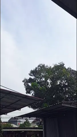 🙂