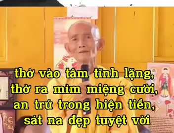 giữ giới ăn chay làm lành#kinhdiatangbotatbonnguyen #phápmôntịnhđộ #kinhvôlượngthọ #sưthíchgiáckhang 