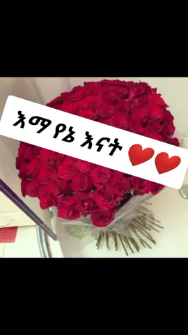 #ethiopian_tik_tok🇪🇹🇪🇹🇪🇹🇪🇹 #foryoupage❤️❤️ #foryoupage #ፍቅር💓ብቻ🥀🦋🥀🕊️🔐 #for 
