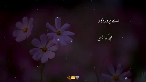 #qurantranslationurdu #quranverses #explore #foryoupage❤️❤️ 