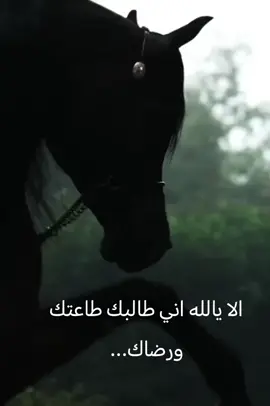 اللهم اني طالبك طاعتك ورضاك .. #السعودية🇸🇦 