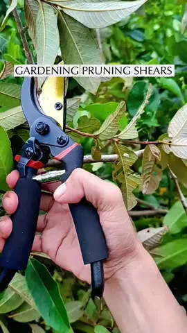 Gardening pruning shears for clean and precise cuts—perfect for flowers, plants, and small branches. #PruningShears #gardentools  #pruner  #pruningshears  #gardenscissor 