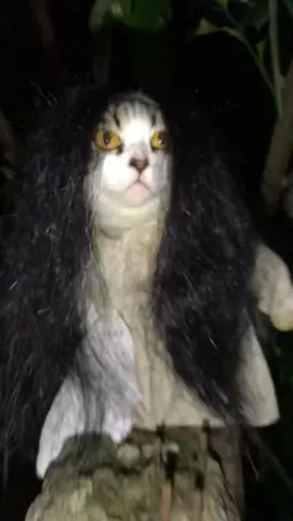 Mama kunti 👻 #fyp #viral #usingcloath #kucing 