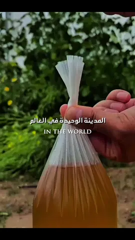 المدينة الوحيدة في العالم بلا ناطحات سحاب! 🏰✨ بين أزقة ضيقة وقلاع شامخة، تختبئ إدنبرة… مدينة لا تركض وراء الحداثة، بل تعيش على إيقاع التاريخ. من ضباب الصباح إلى غروب الشمس على 