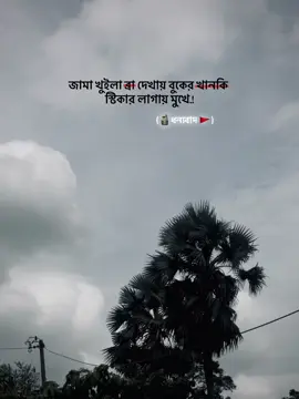 (🗿ধন্যবাদ 🚩) #__nathing1 #foryou #foryoupage #viral #captionvideo 