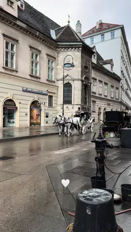 🥹 #vienna #austria 