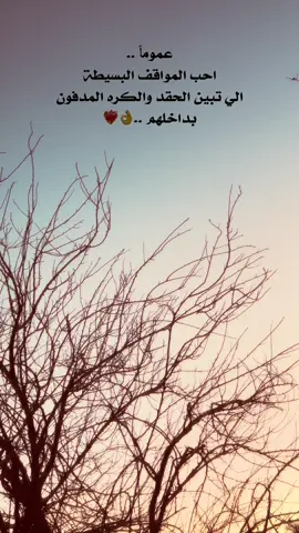 المواقف البسيطة 🖤 #عباراتكم_الفخمه📿📌 #اعاده_نشر🔁 #تصويري_احترافي_الاجواء👌🏻🕊😴 #اضافة_لايك_متابعة_اكسبلور #تصويري📷 