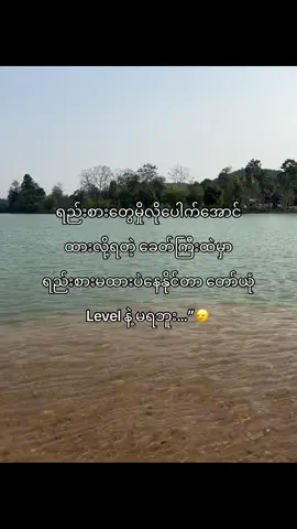 Level pro maxတွေမှရနိုင်တာ🙂‍↔️#fypシ゚ #fyp #livephoto #tiktok #tiktokmyanmar 