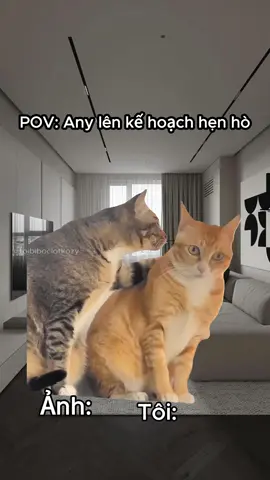 :) #memes #kozyfashion 