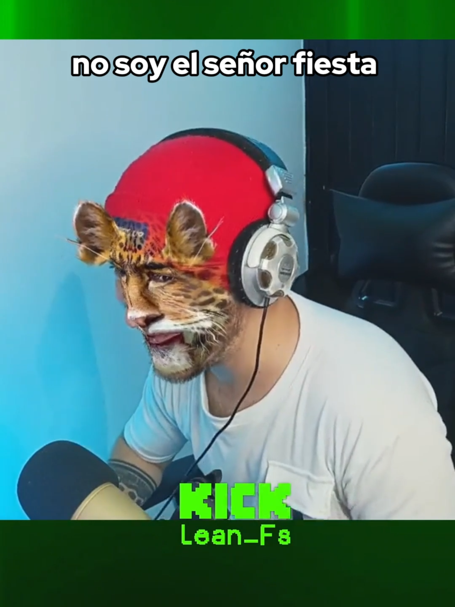 no soy el señor fiesta, soy el señor gato